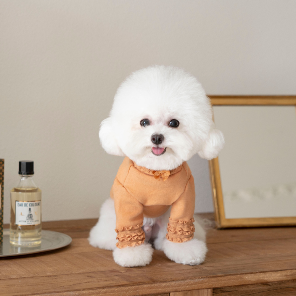 Lace Long Sleeve Turtleneck(Orange)