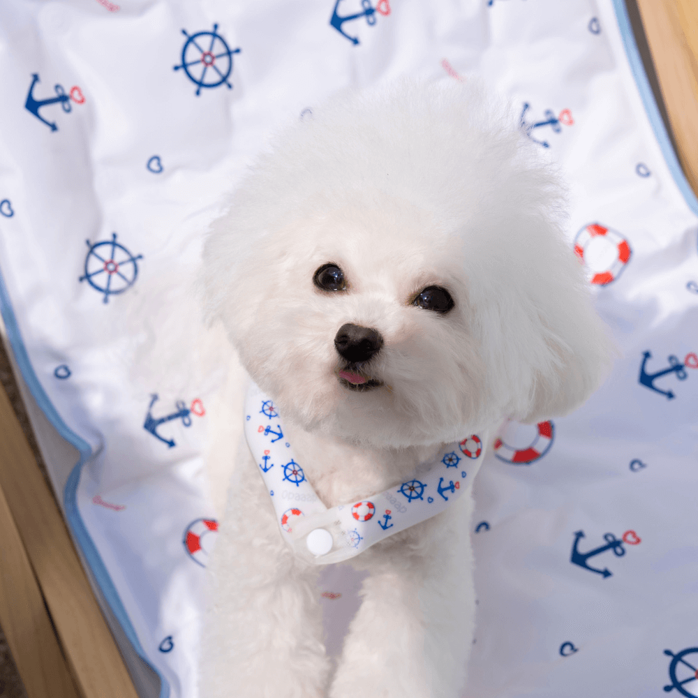 【予約】True COOL Ice Mat (Cool Marine)