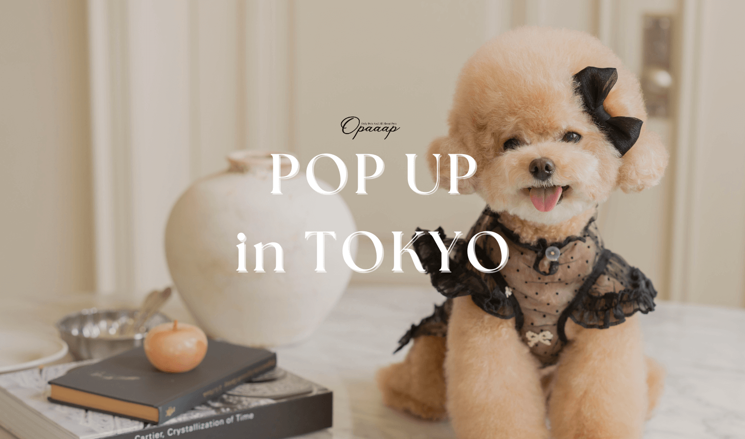 10/26(土)・10/27(日)に渋谷でPOPUP STOREを開催します！