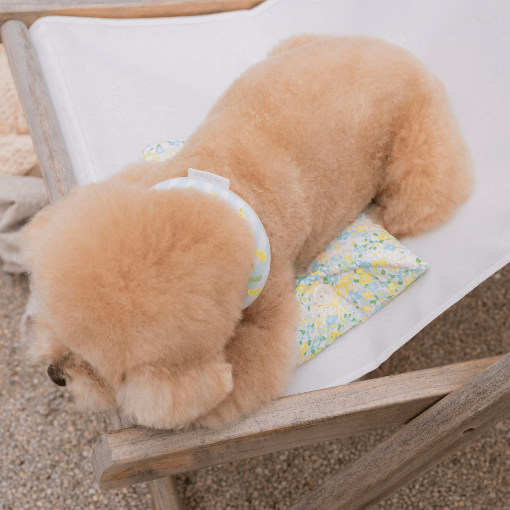 Ice Pack Pouch (Yellow)