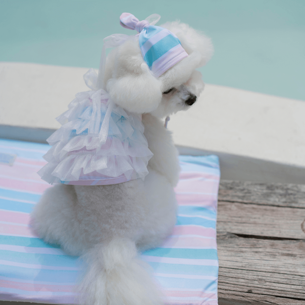 Plage Swimming Cap (Candy Stripe)