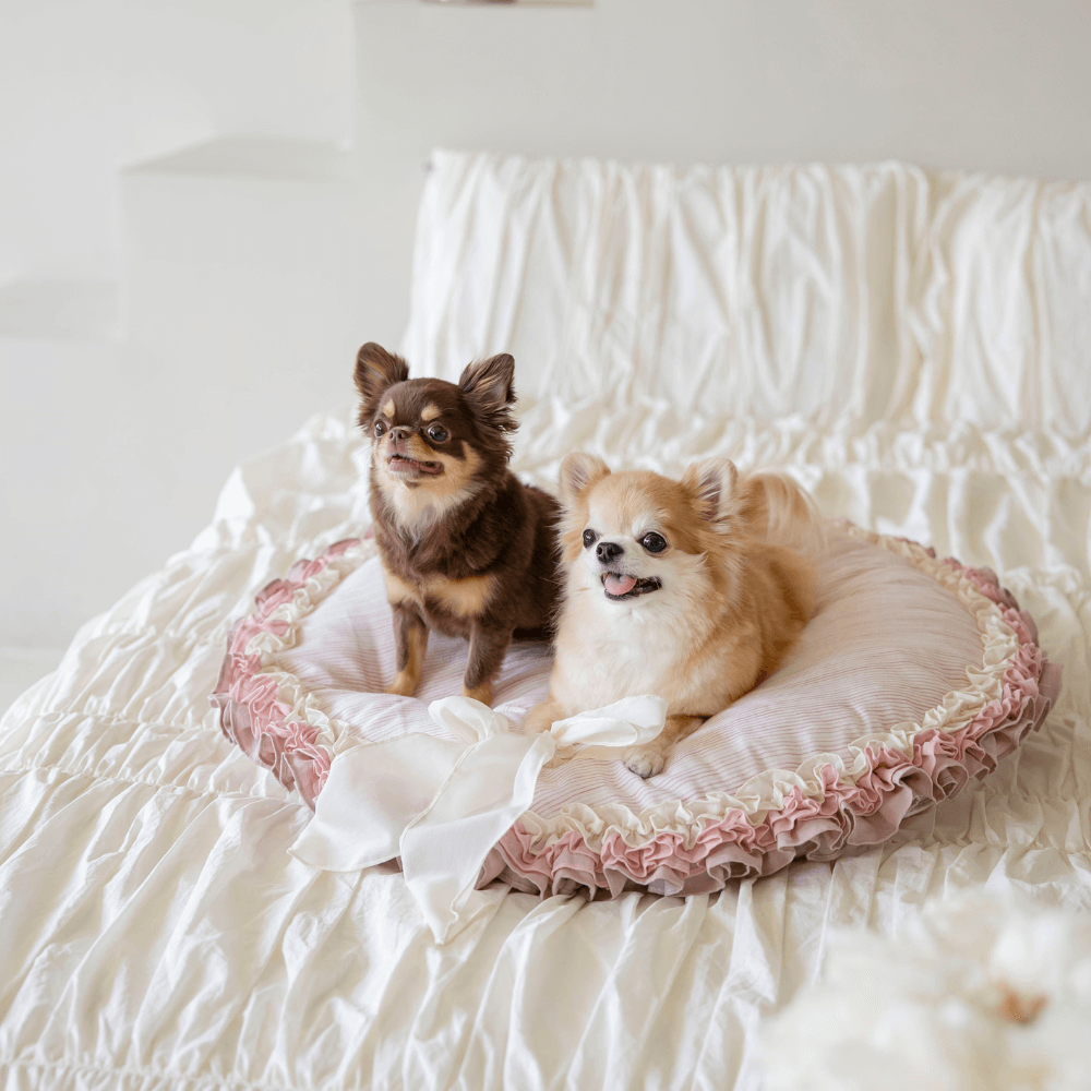 【予約】Peony Ruffle Cushion (Pink Stripe)