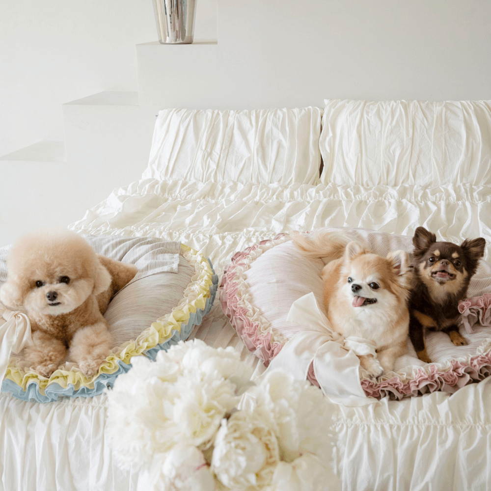 【予約】Peony Ruffle Cushion (Pink Stripe)