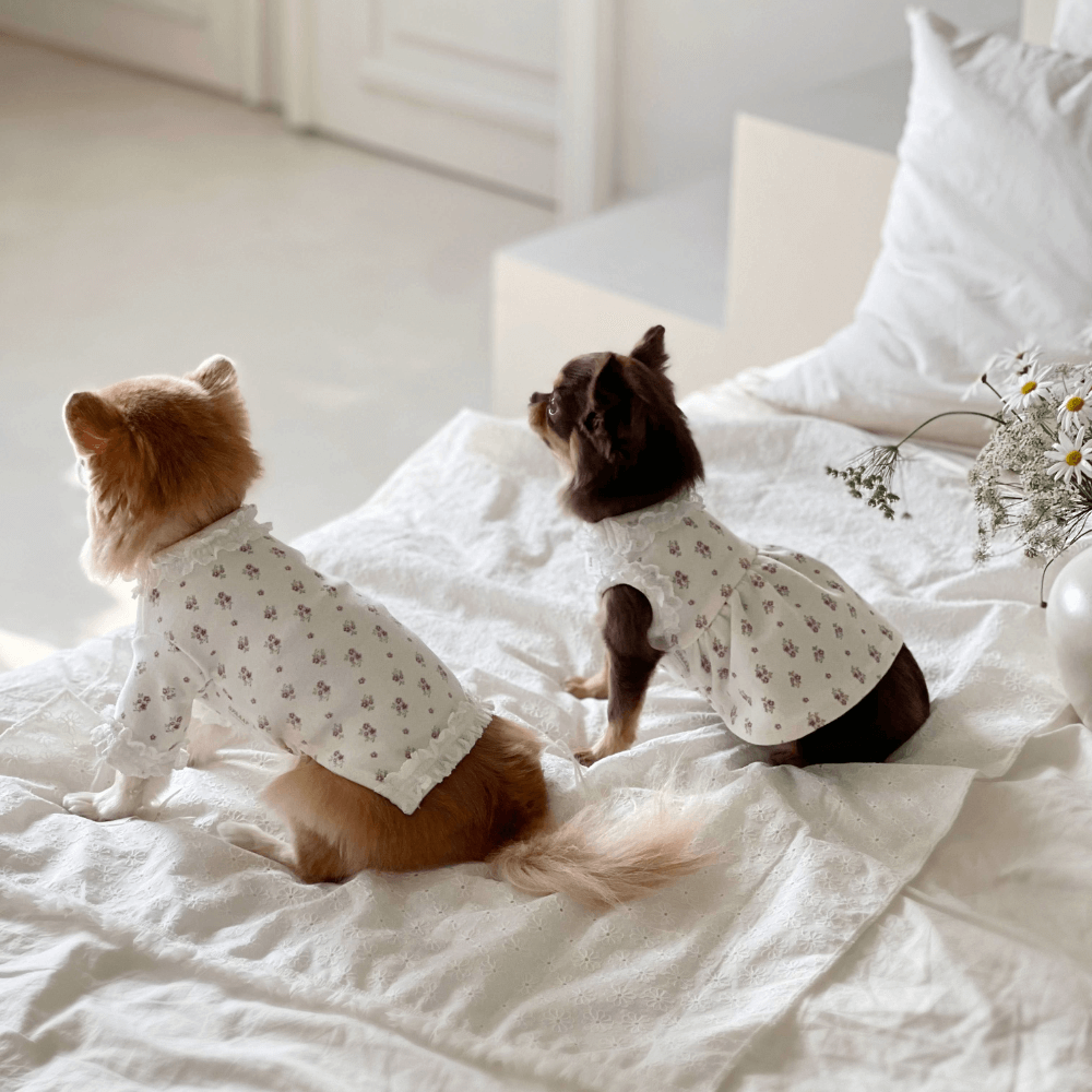 Flower Shower Dress（Ivory）