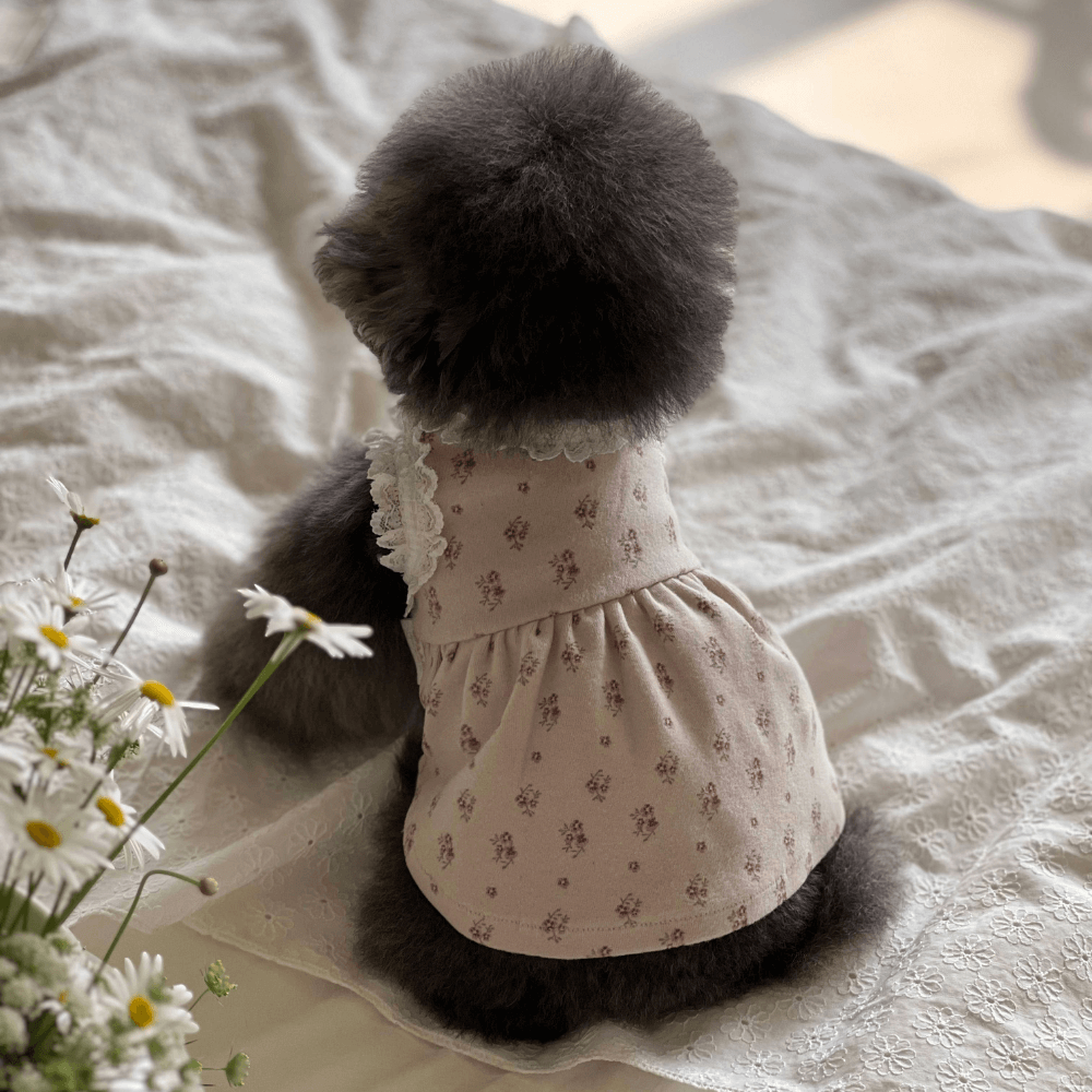 Flower Shower Dress（Cocoa）