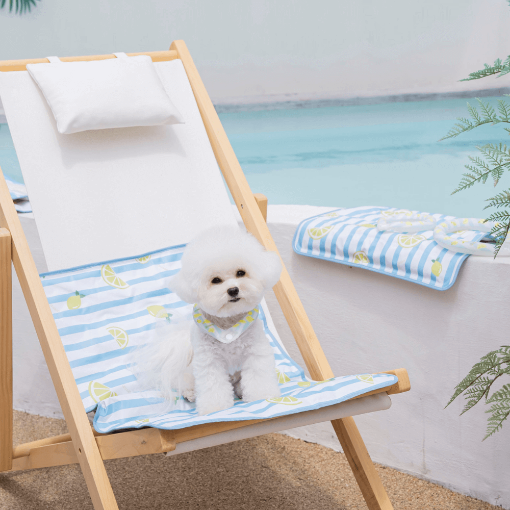 【予約】True COOL Ice Mat (Zesty Lemon)