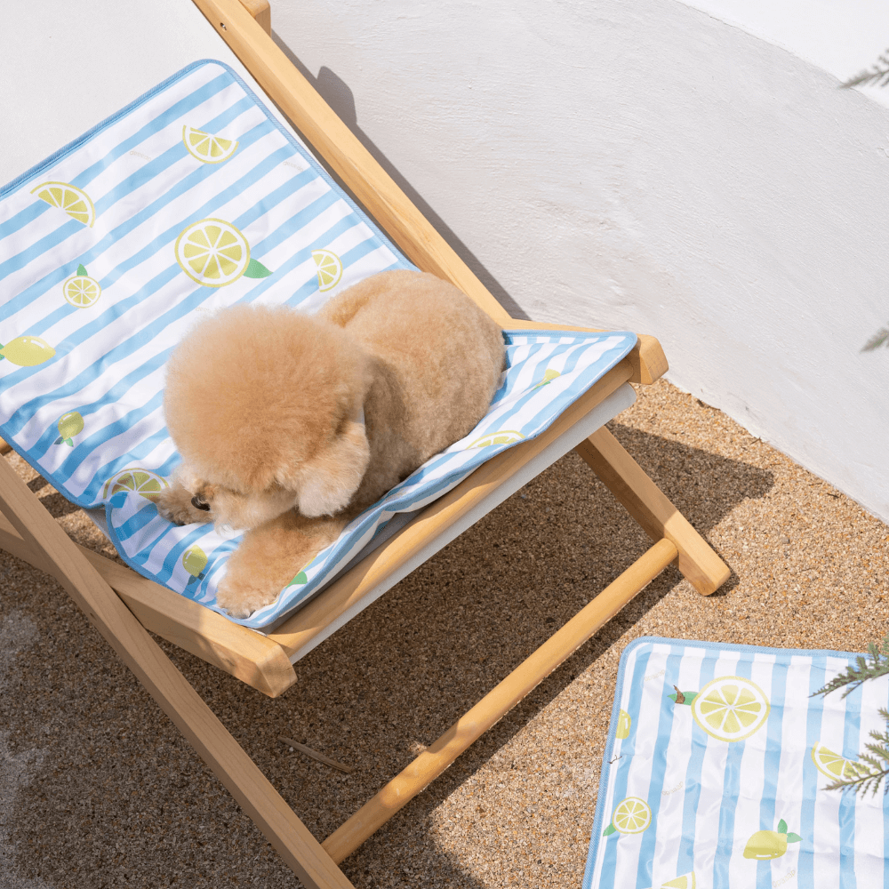 【予約】True COOL Ice Mat (Zesty Lemon)