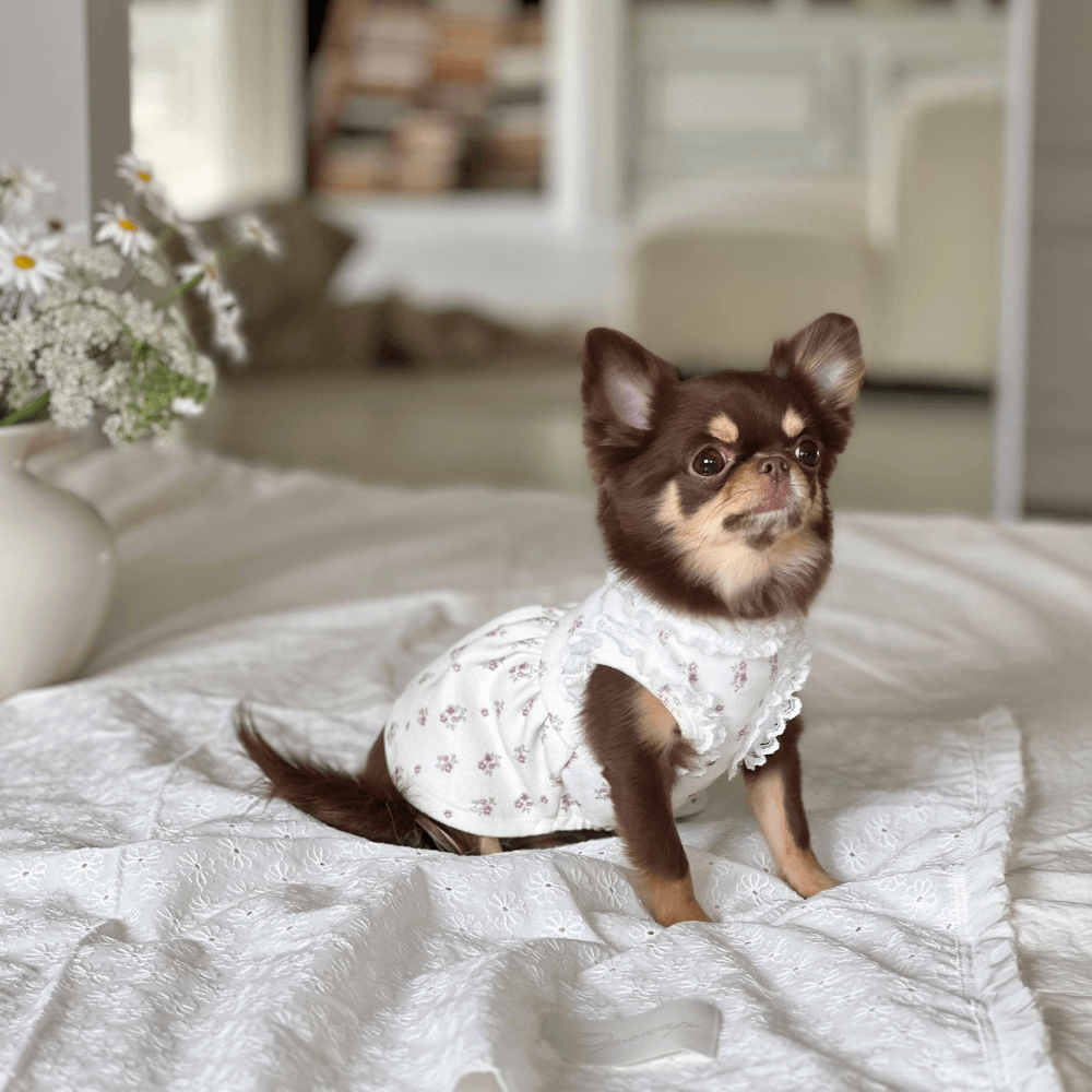 Flower Shower Dress（Ivory）