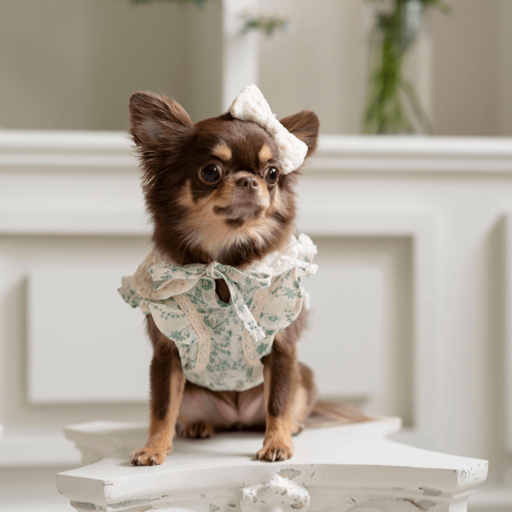 New Greenery Dress