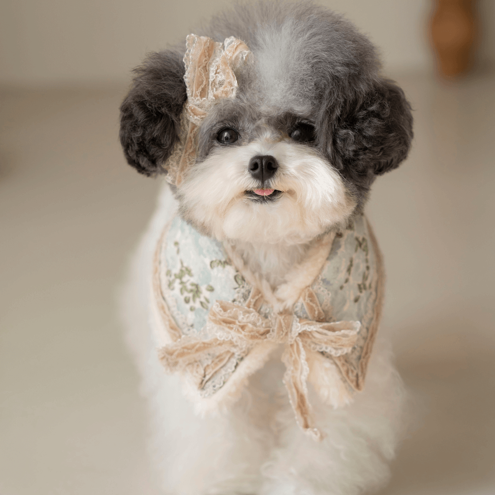 Velvet Lace Hairpin